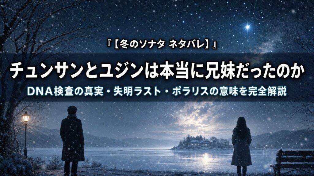 冬のソナタ ネタバレ解説記事のアイキャッチ画像。雪の降る冬の夜に二人のシルエットが離れて立ち、北の星を見上げている純愛ドラマの雰囲気