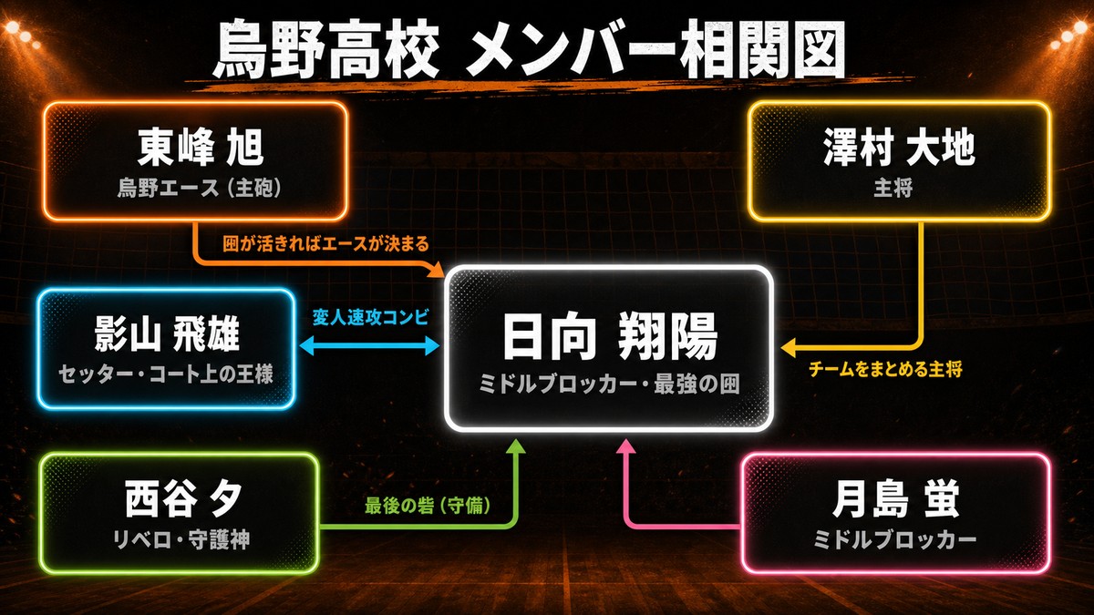 ハイキュー!!烏野高校メンバー相関図。日向翔陽（ミドルブロッカー・最強の囮）を中心に、影山飛雄、東峰旭（エース）、澤村大地、西谷夕、月島蛍の関係性を示した図解